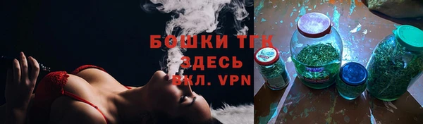 молекула духа Зеленодольск