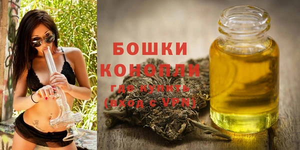 молекула духа Зеленодольск