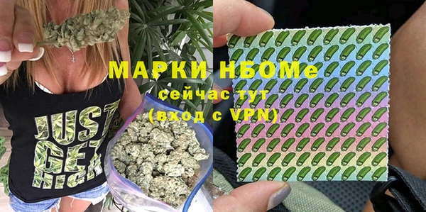 молекула духа Зеленодольск