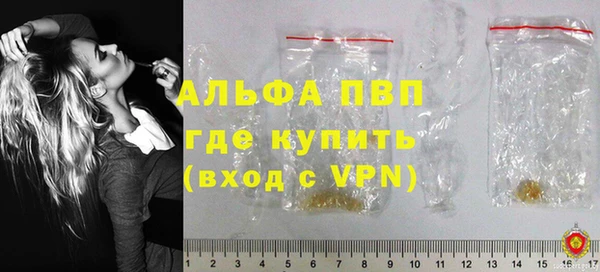 прущие грибы Заволжье