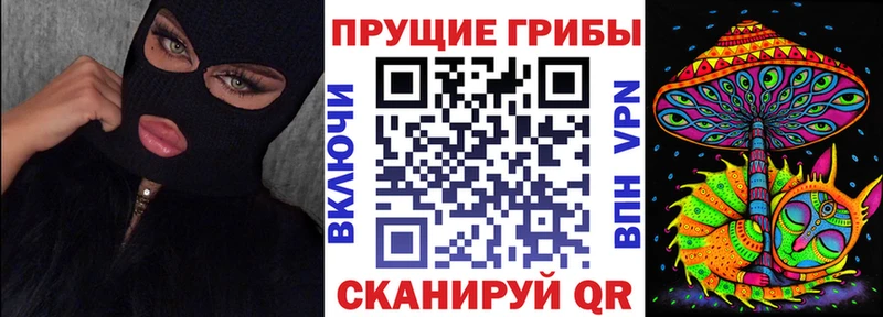 Галлюциногенные грибы GOLDEN TEACHER  darknet телеграм  Миасс  цены наркотик 